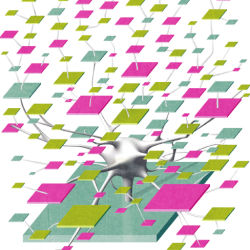 assemblage of interconnected platforms