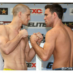 weigh in