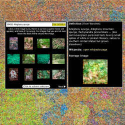 MIT's Visual Dictionary