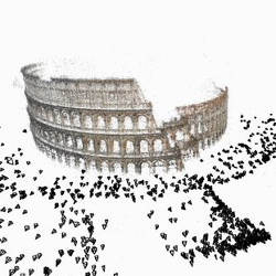 the Coliseum