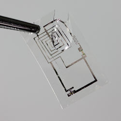 Biodegradable integrated circuit