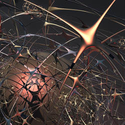 A Survey of Mobility in Information- Centric Networks, illustration