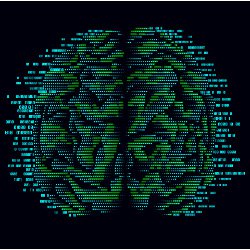 brain and circuitry, illustration