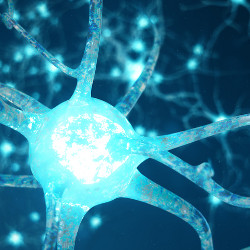synapse, illustration