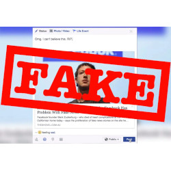 Social media outlets inadvertently aid fake news reports by not closing down accounts generating them, and only checking the veracity of the items once they were posted.