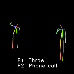 action recognition through walls and occlusions