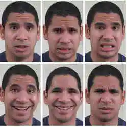 Distinguishing real smiles from fake ones.