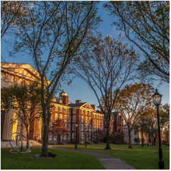 path on Brown University campus