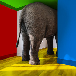 the back end of an elephant trying to fit through a narrow opening