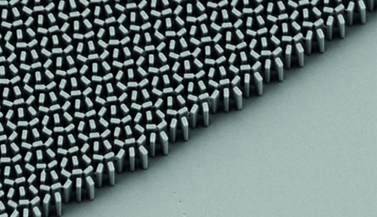 Credit: Harvard Capasso Lab scanning electron microscope micrograph of a metalens