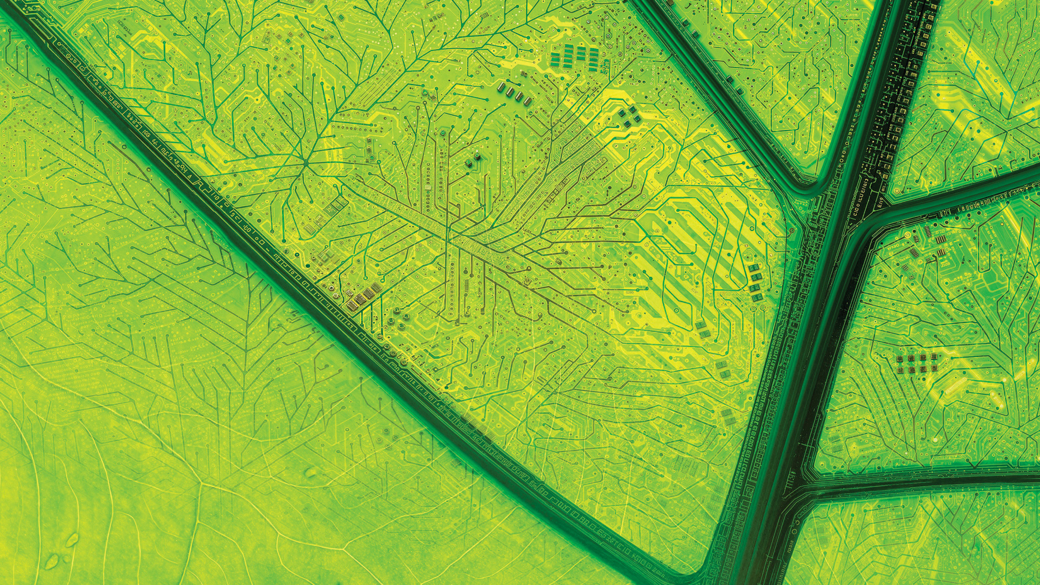 electronic traces on leaf face